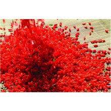 Organic Ningxia Goji China Wolfberry Natural Dried Organic Goji Berries OEM Mini Package Goji